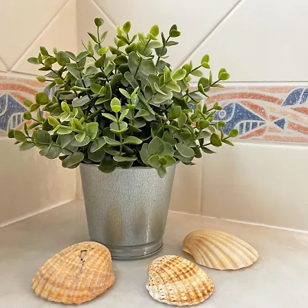 Algarve Sol House Апартаменты Картейра